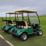 2021 HDK Golf Buggy
